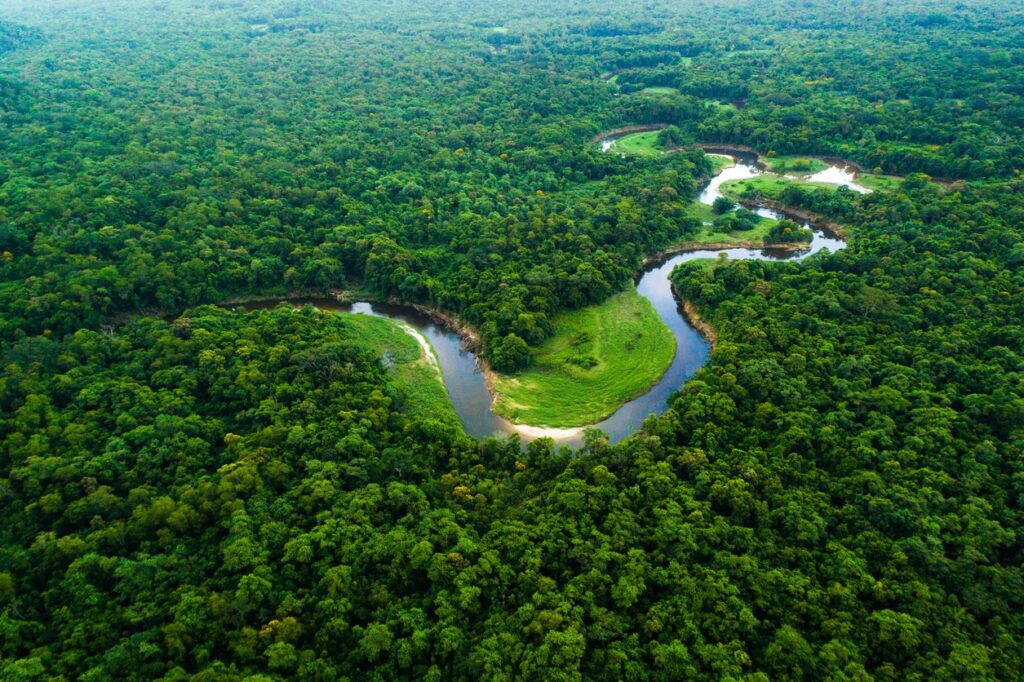 Reserva de Nióbio descoberta na Amazônia desafia conservação